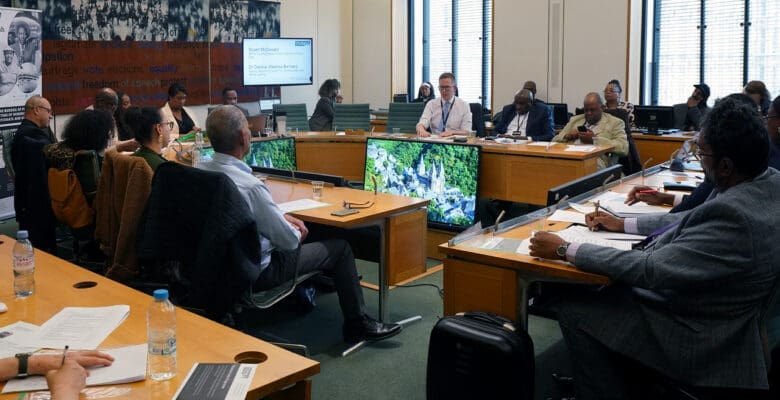 People in a board meeting all in formal attire, discussing Windrush policy